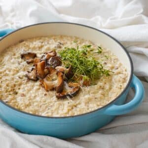 Emaljeret Støbejerns Sautergryde, 3,5 liter - Qookware